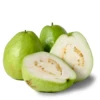 Guava, Thai White (Psidium Guajava) -Plant related-Sow Exotic thai guava tree fe620f29 2a47 4f85 ad50 2b14c97fd9fd