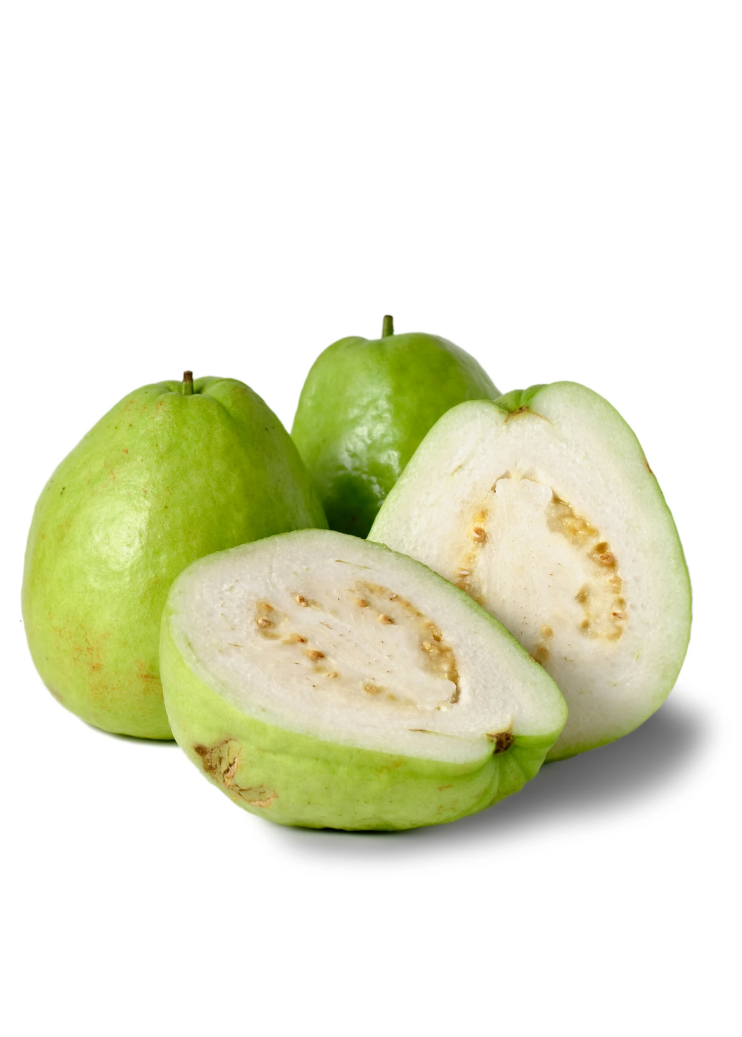 Guava, Thai White (Psidium Guajava) 3 Guava, Thai White (Psidium Guajava)